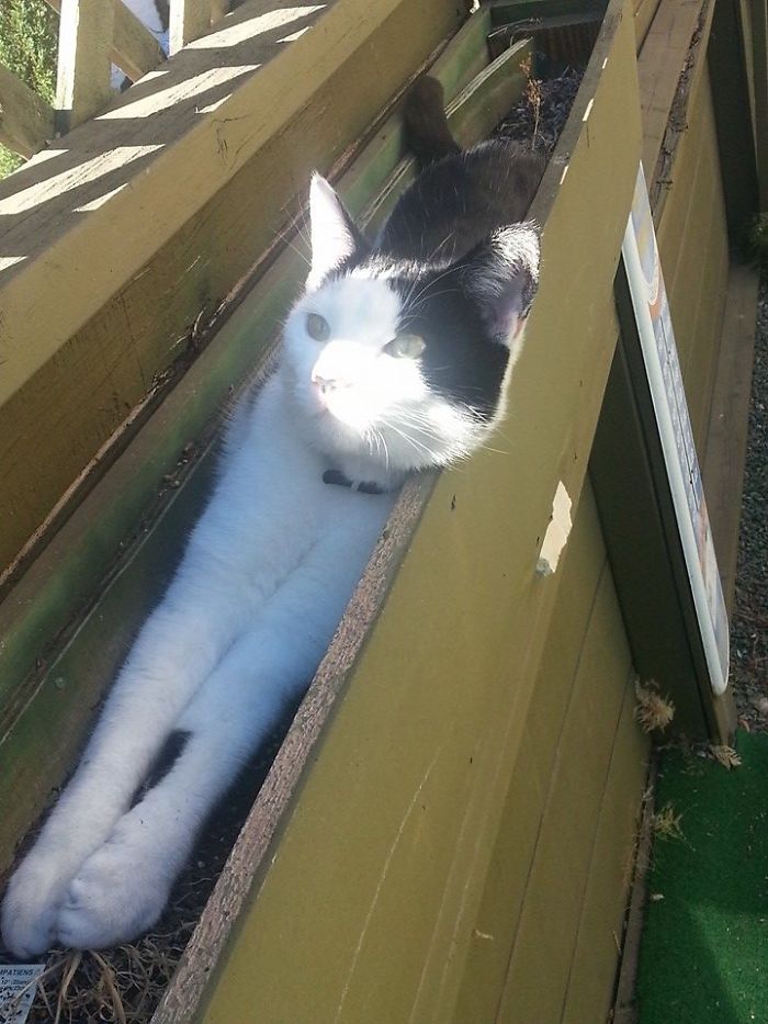 This Is Why We Can't Grow Anything.