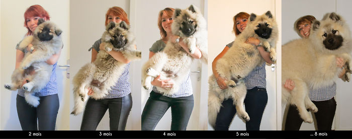 Small To Big Fluffy Teddy Bear !