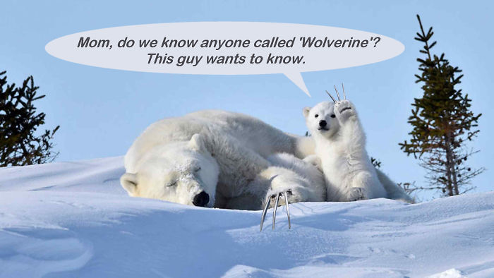 Sorry. Try Next Door.