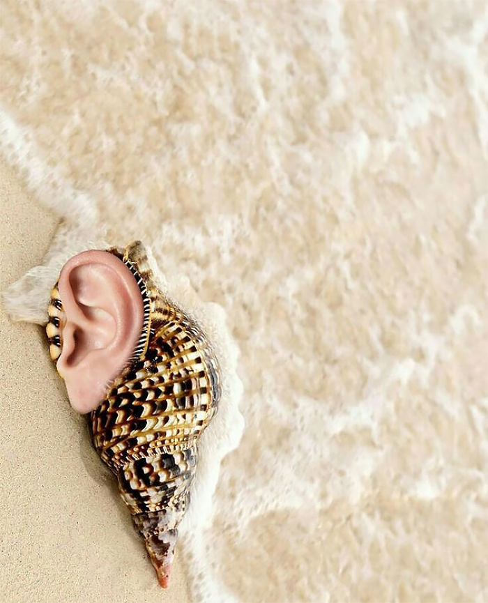 Offensive And Beautiful Collages Nsfw By Naro Pinosa