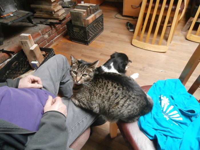 Our Cat Loves To Do Stuff Like This. We Named Her Kush-kush.