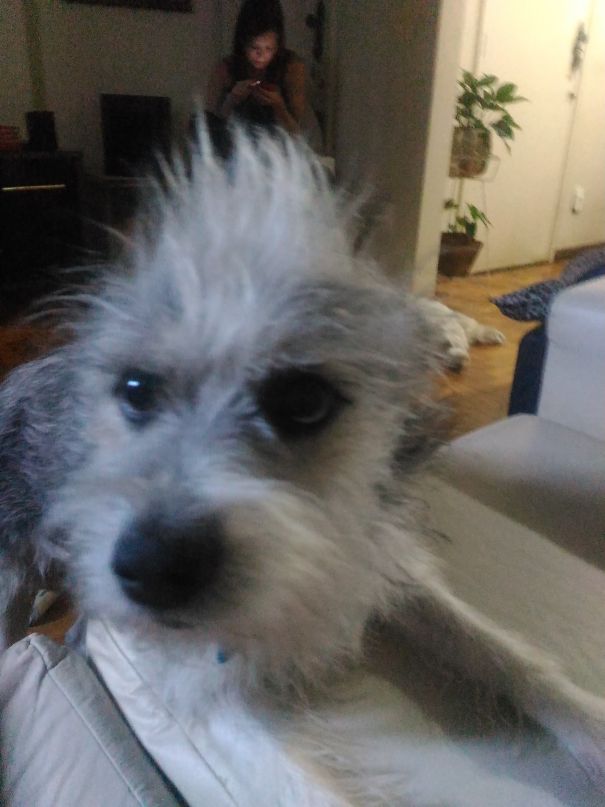 Gorgeus Hair Dude!!!