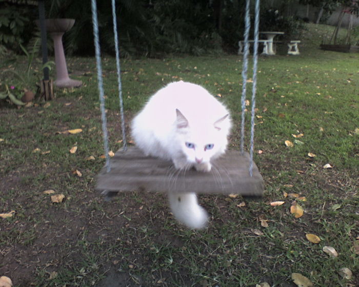 C'mon, Give Me A Push!