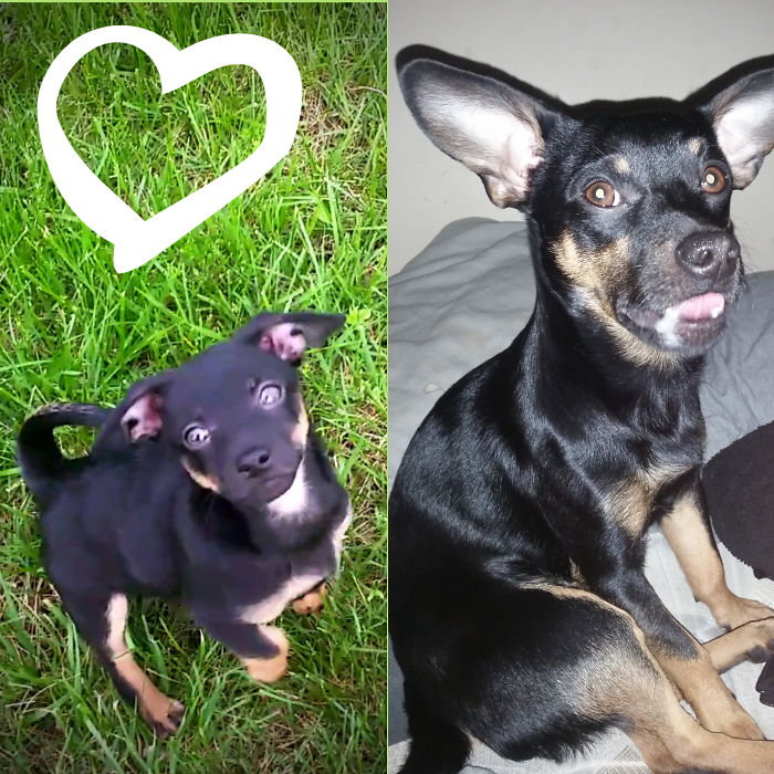 Mr. Ow Pacino (8 Months Apart)