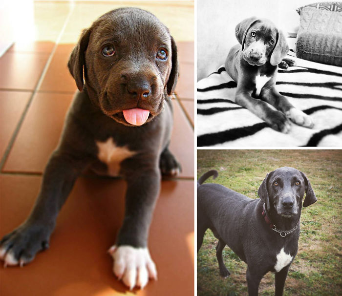 Silly Then...goofball Now!