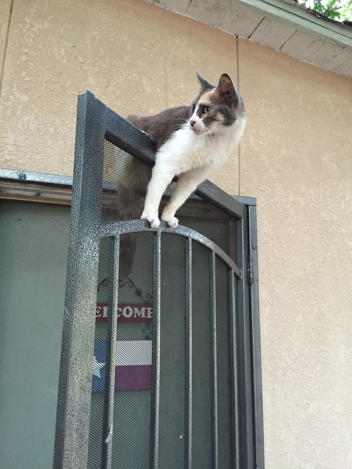 Because Going Out The Door The Usual Way Is So Boring.