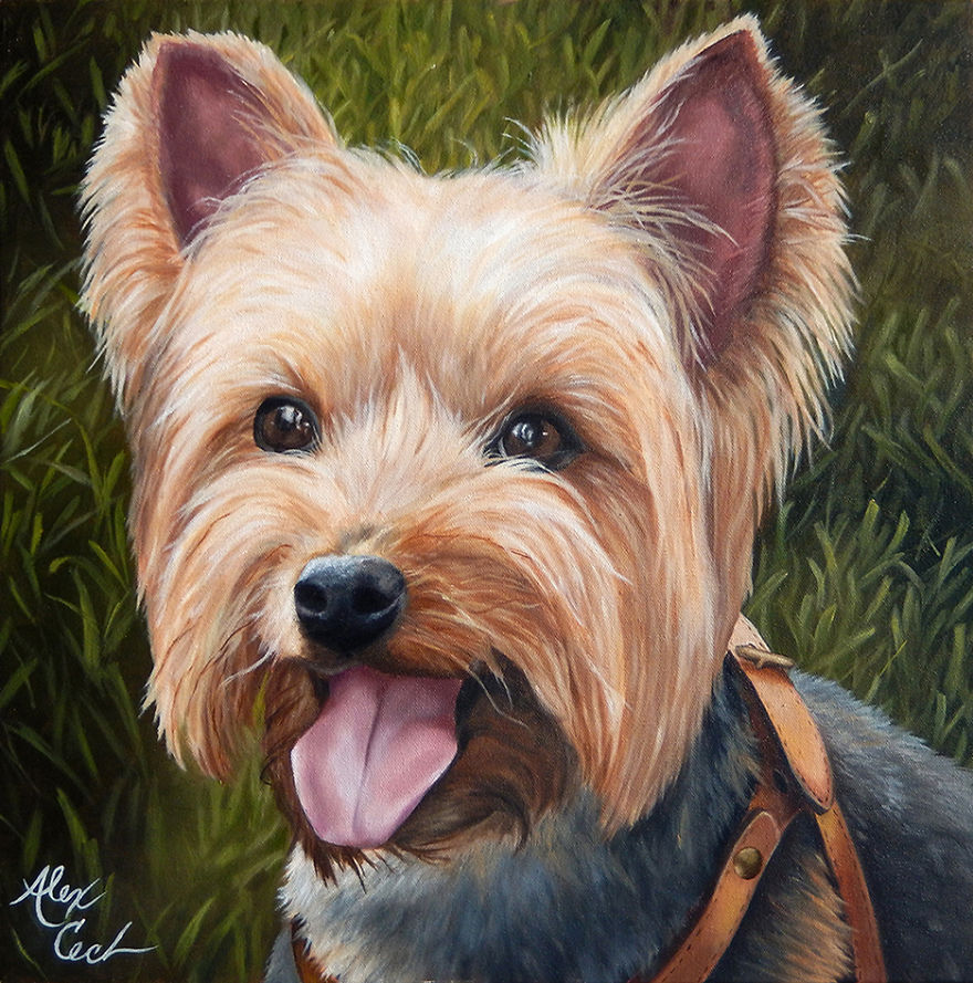 I Create Custom Paintings Of People's Pets I Create Custom Paintings Of People's Pets