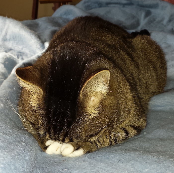 Sam Is Our "weeping Buddha"