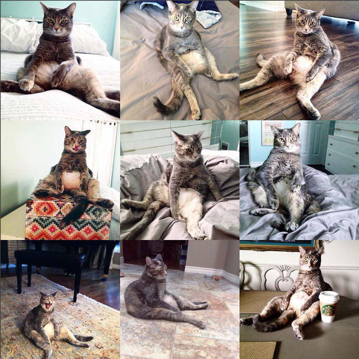 Zoë Loves To Sit Like This!