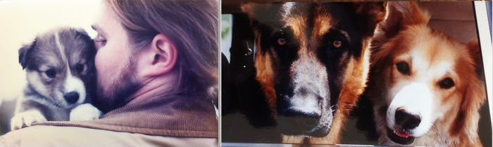 Luka As A Puppy, Luka As An Adult. Dad As A Puppy, Dad As An Adult.