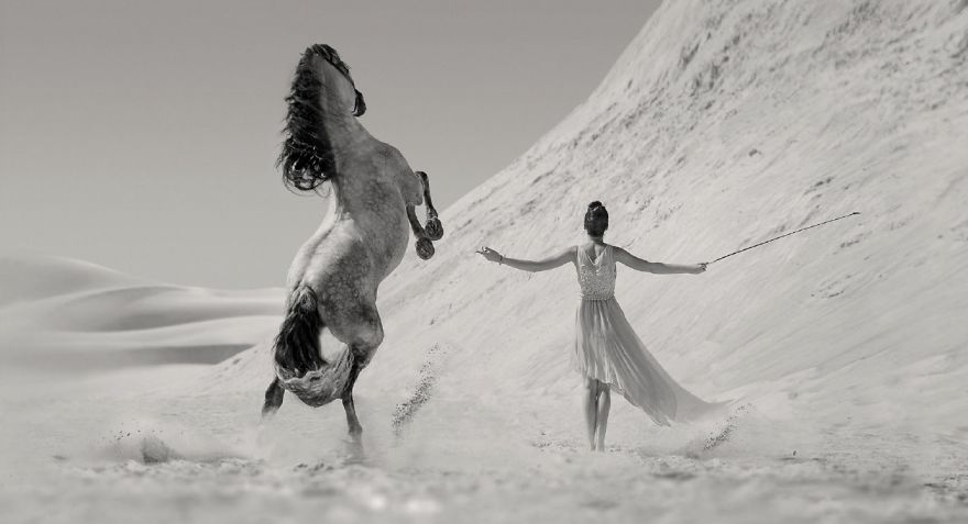 Where The Wild Horses Run