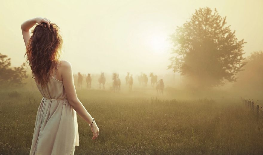 Where The Wild Horses Run