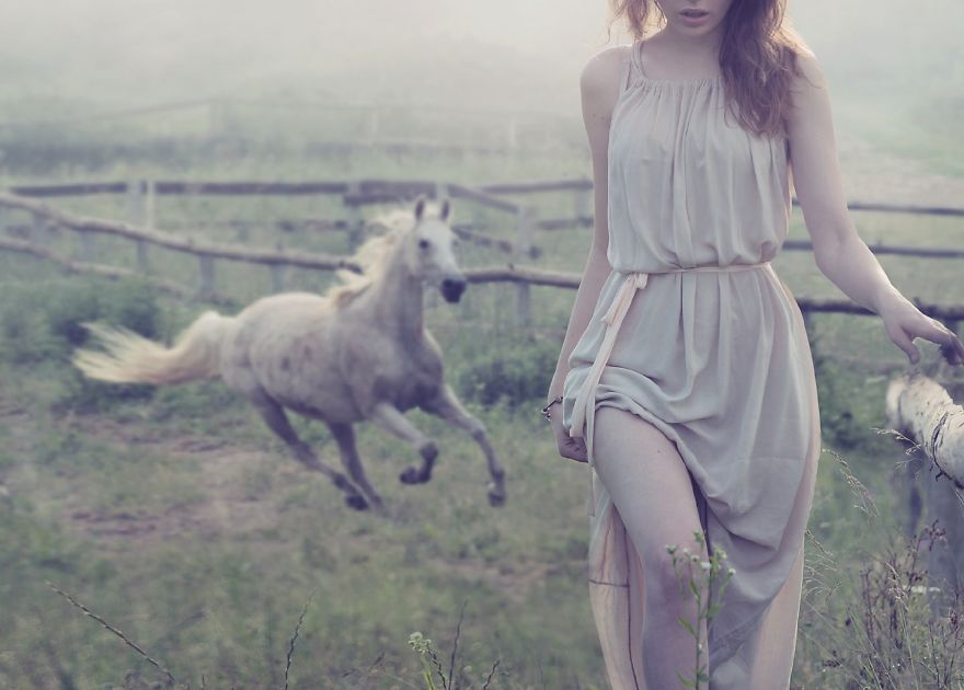 Where The Wild Horses Run