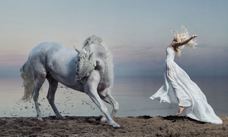 Where The Wild Horses Run