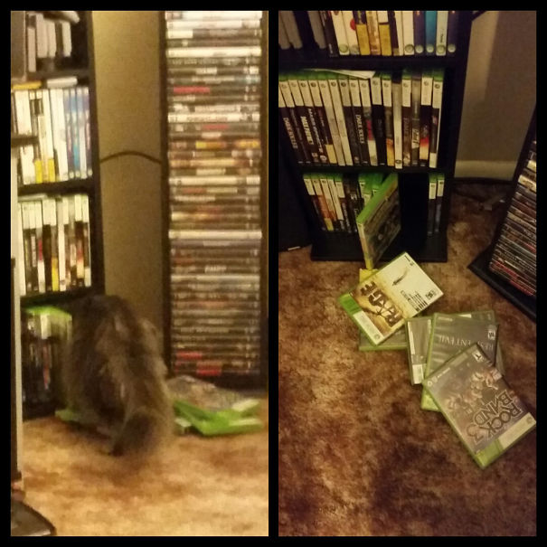 When You Think You Removed Everything She Destroys, She Find Something Else.