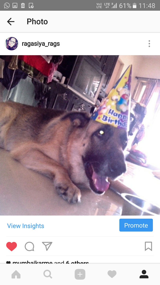 My Baby Loves Camera He Just Loves Posing Mr.photogenic.