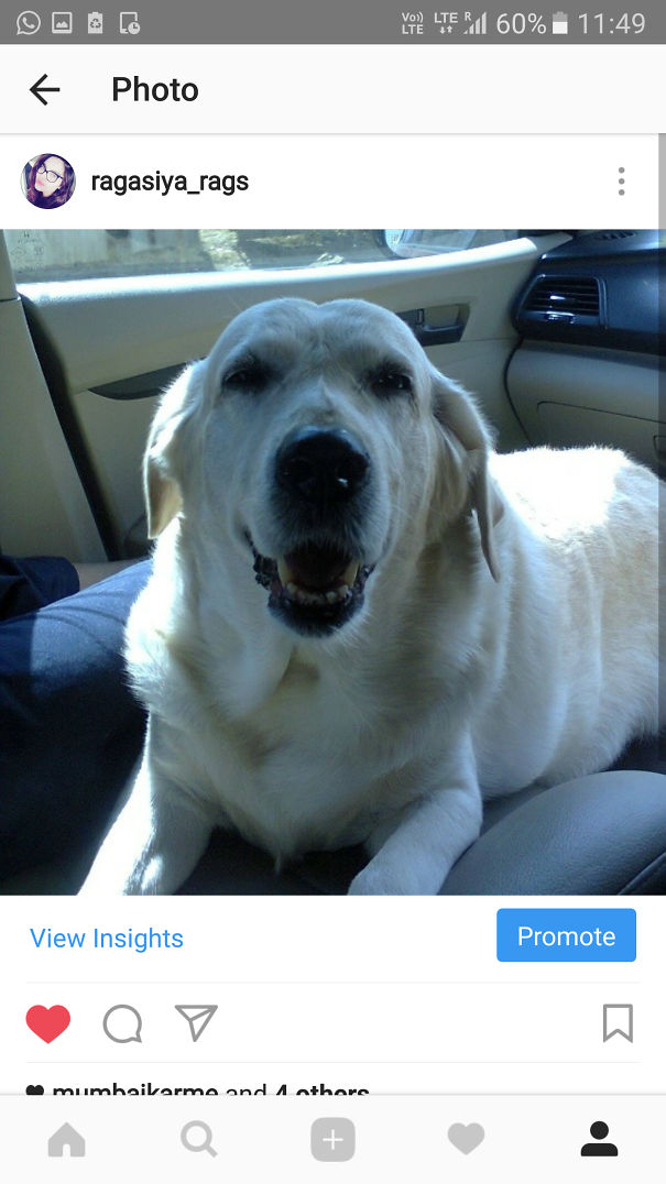 Car Is Her Home She Loves Car Like Mad