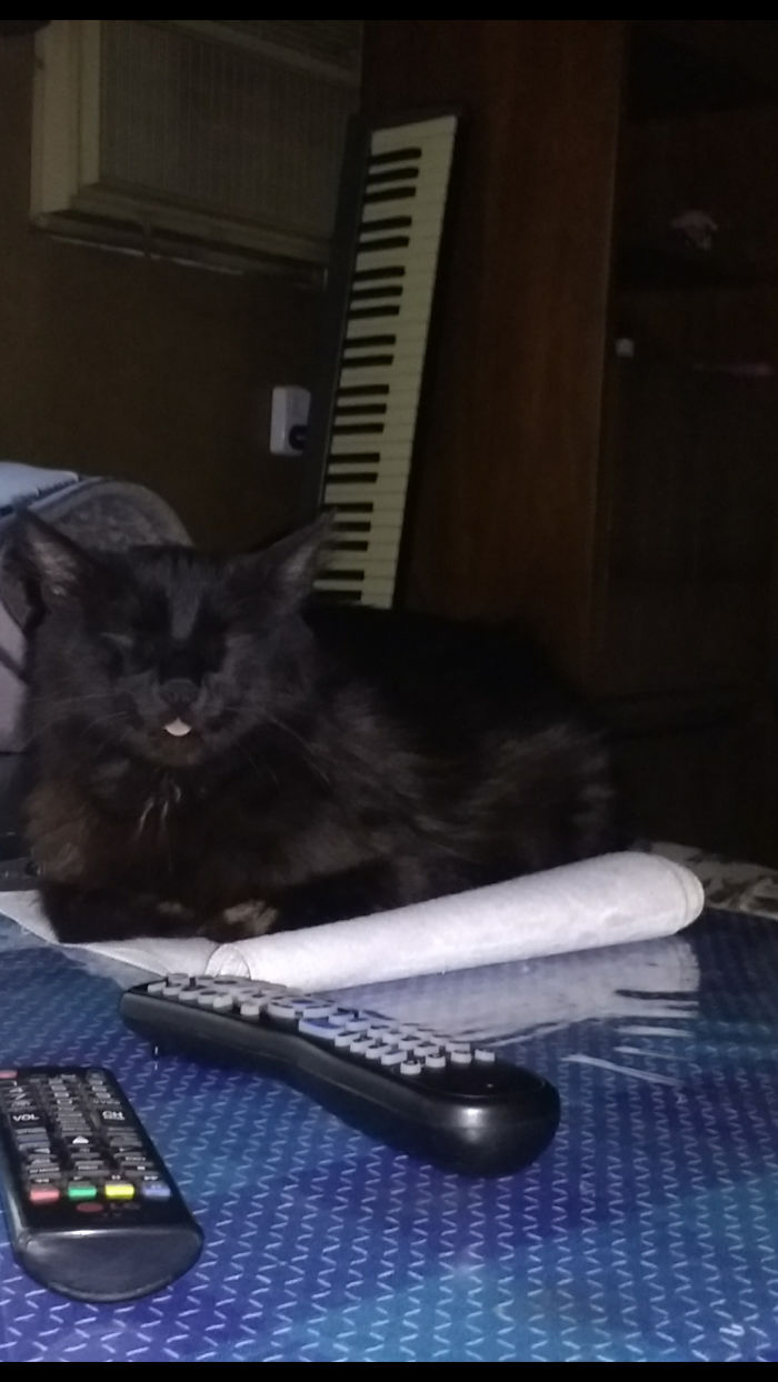 I'm So Tired To Close My Mouth