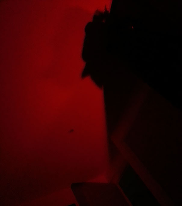 Shadow Of Coats = The Devil