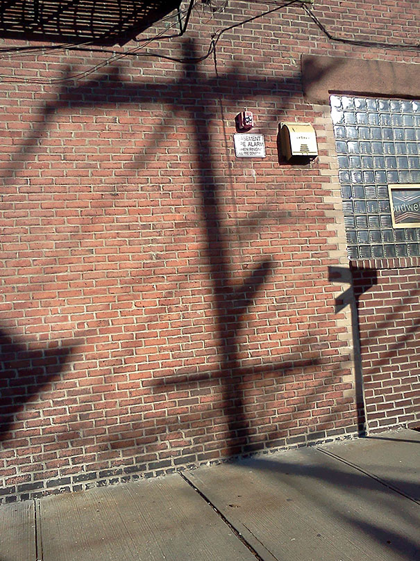 Shadow Staring Suspiciously