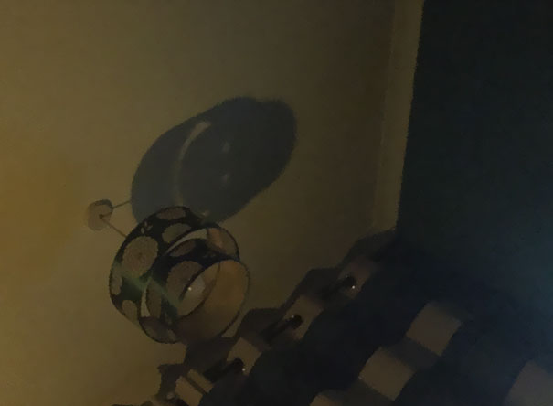 The Shadow From My Bedroom Ceiling Light Is Grinning At Me