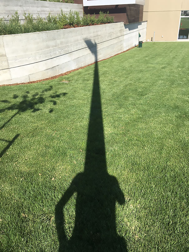 This Lamp Post Makes My Shadow Look Like A Giraffe