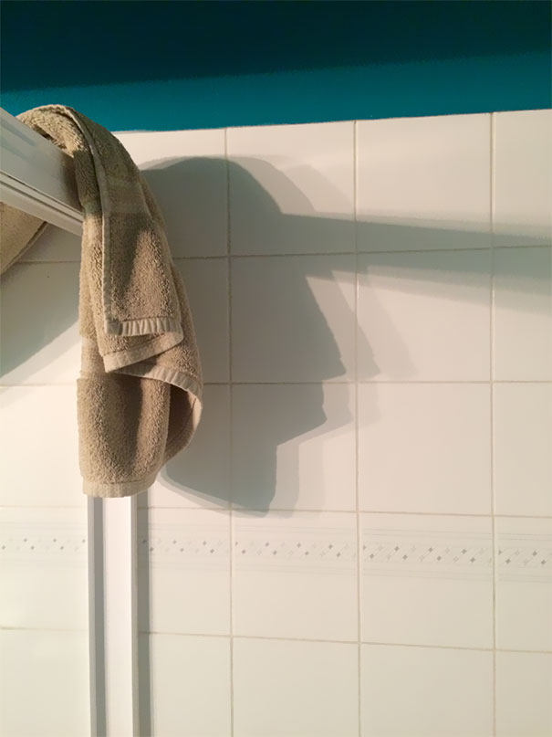 This Shadow Looks Like George Washington