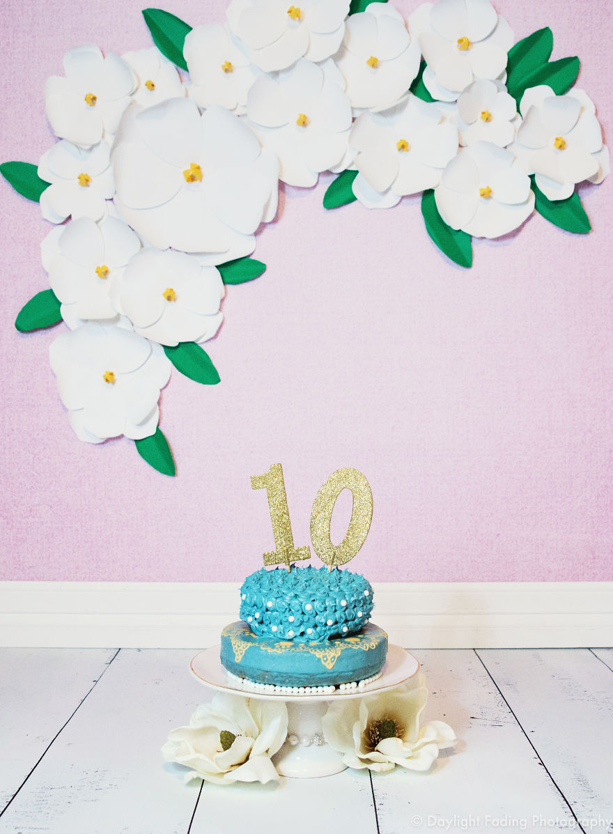 I Gave My Basset Hound A Cake For Her 10th Birthday... And She Smashed It! I Gave My Basset Hound A Cake For Her 10th Birthday... And She Smashed It!