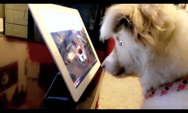 She Makes Me Turn Her 'show' On From My Ipad Whenever I'm Ready To Watch Mine.