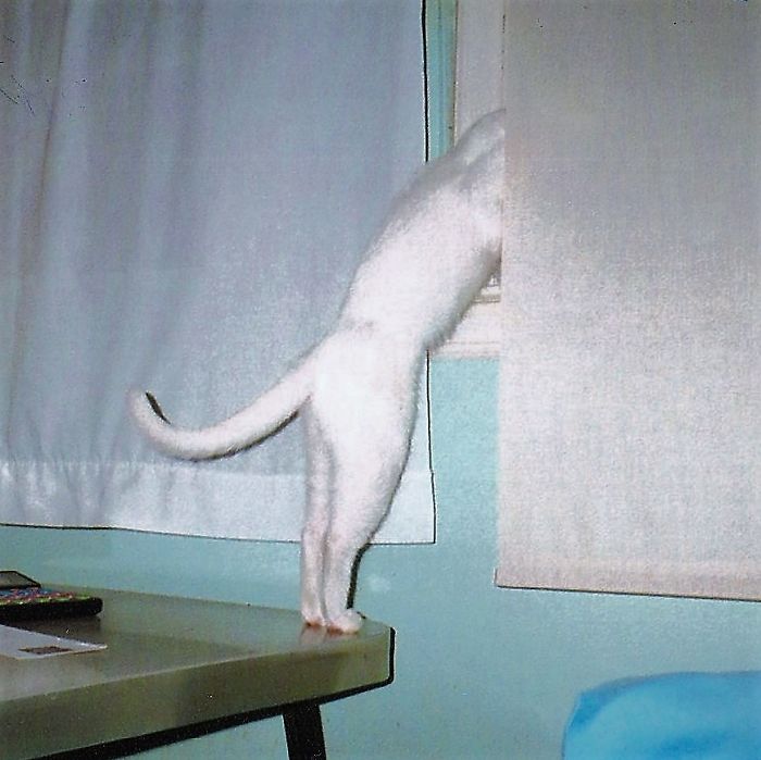 Some Of Us Really Need To Know.