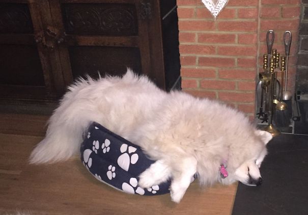 When You Know You're Tired But Just Can't Find The Right Size Bed