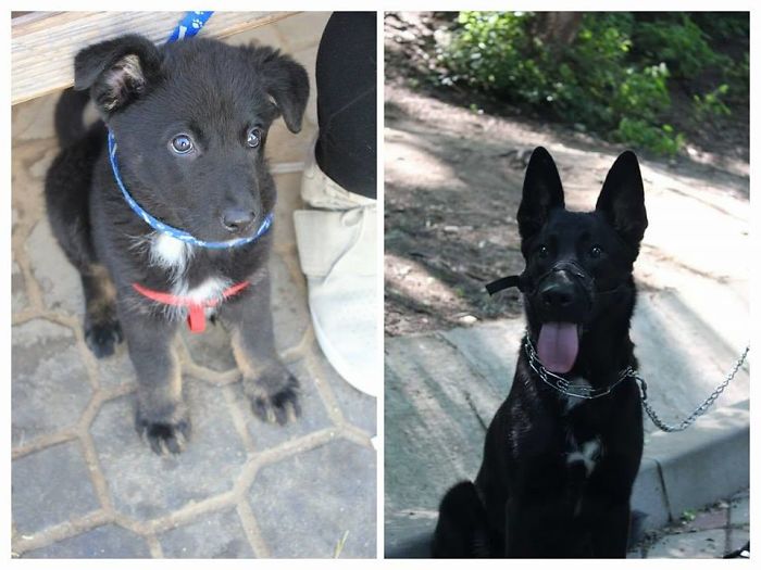 Tara At 1 Month Vs At 10 Months