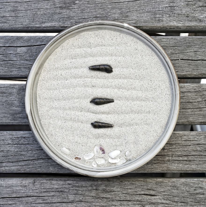 I Kill An Ant And Realize My Three Children Have Been Watching. - Kato Shuson