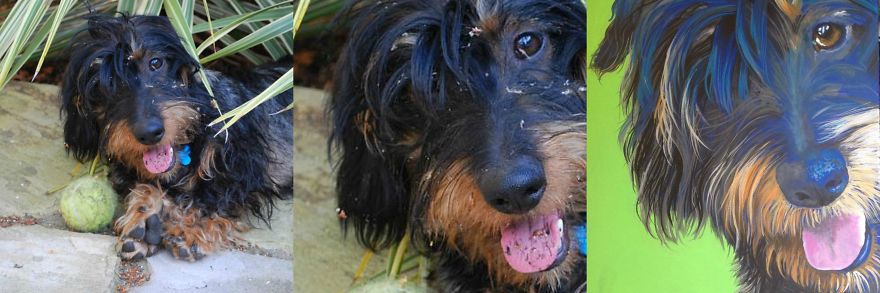 These Stunning Pet Portraits Are Painted From The Pet Owners Phone Photos! These Stunning Pet Portraits Are Painted From The Pet Owners Phone Photos!