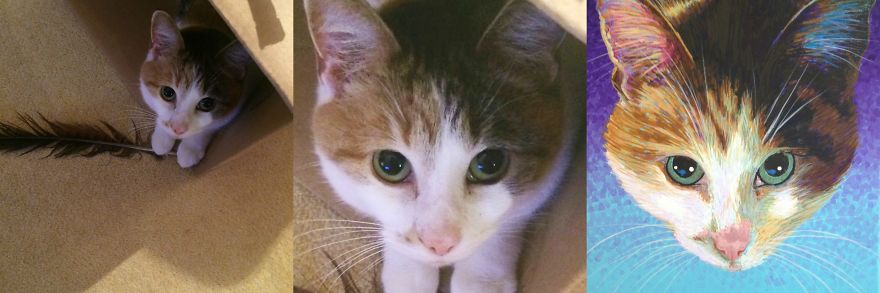 These Stunning Pet Portraits Are Painted From The Pet Owners Phone Photos!