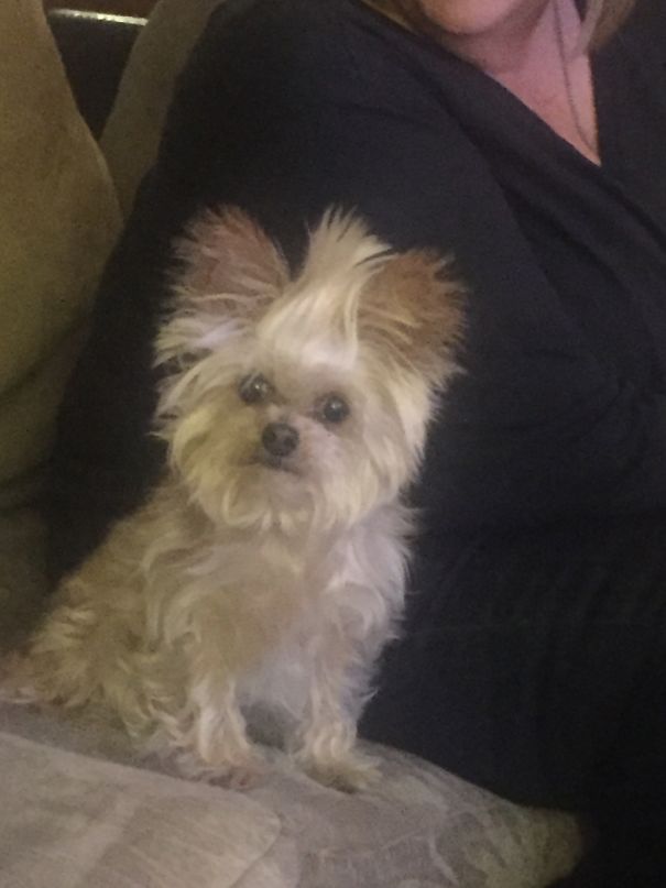 Mommy Where'd My Hair Bow Go While I Was Sleeping!