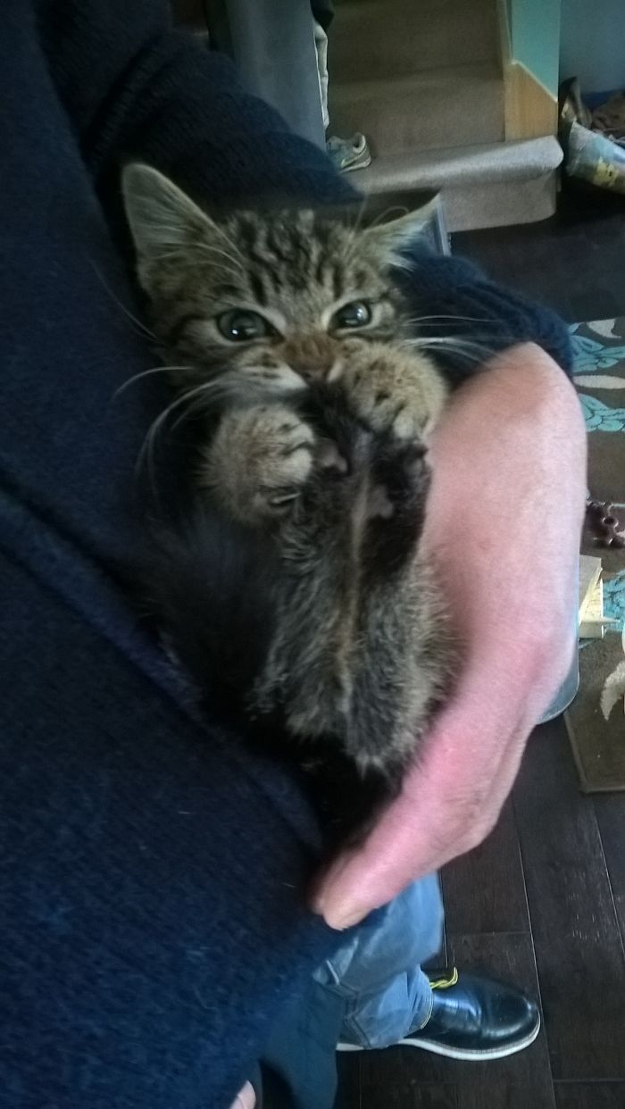 Nom Nom Nom Nom.. My Odd Kity Having A Foot Nibble!