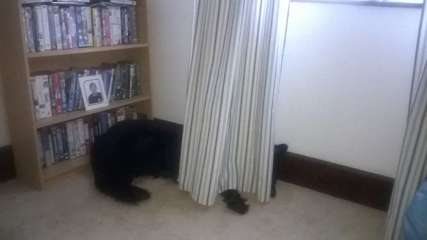 Last One From Me (coz I Could Do Loads) Bailey"hiding"