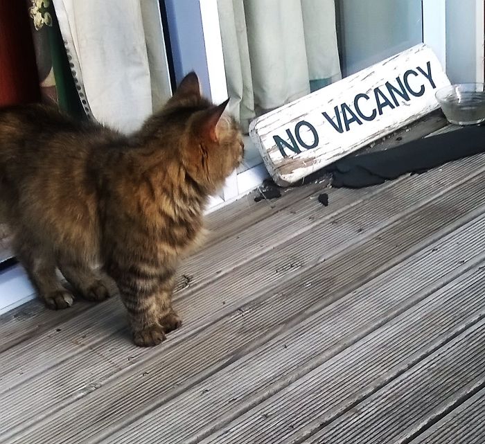 No Vacancy Here And Position Already Fulled