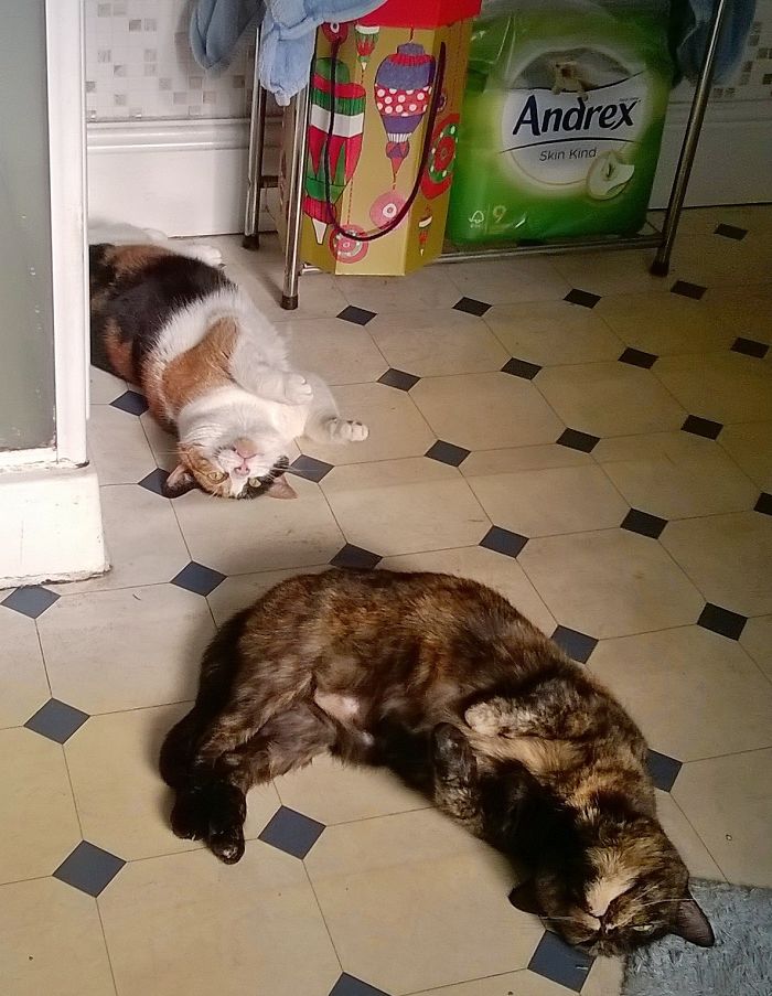 Anything You Can Do I Can Do Better!!