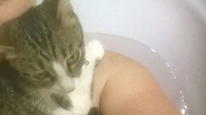 I Don't Care If You Are Bathing, I Will Lie On You...