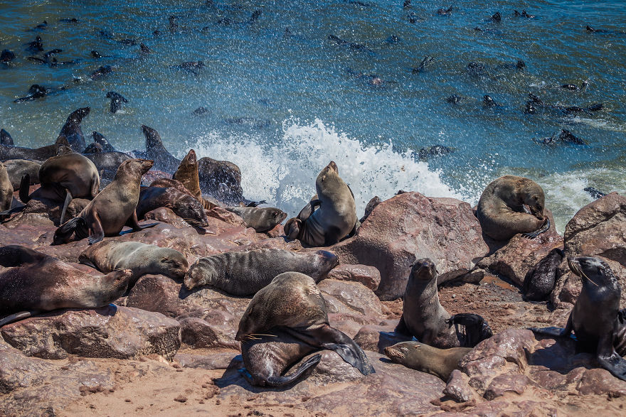 We Went To Namibia To Explore Its Most Amazing Places, And This Is What We Found We Went To Namibia To Explore Its Most Amazing Places, And This Is What We Found