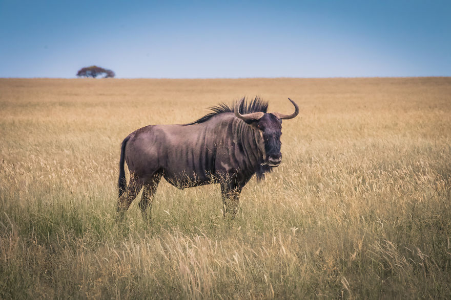 We Went To Namibia To Explore Its Most Amazing Places, And This Is What We Found We Went To Namibia To Explore Its Most Amazing Places, And This Is What We Found