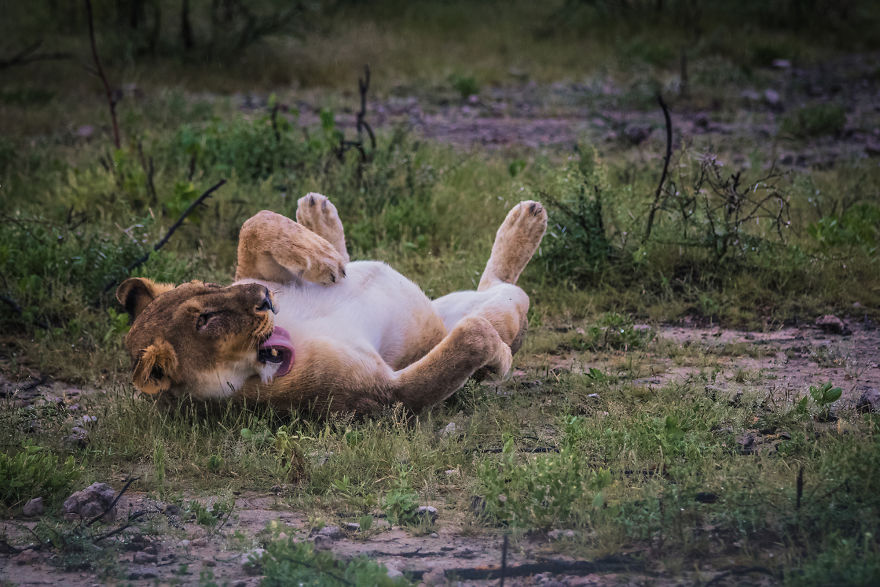 We Went To Namibia To Explore Its Most Amazing Places, And This Is What We Found We Went To Namibia To Explore Its Most Amazing Places, And This Is What We Found