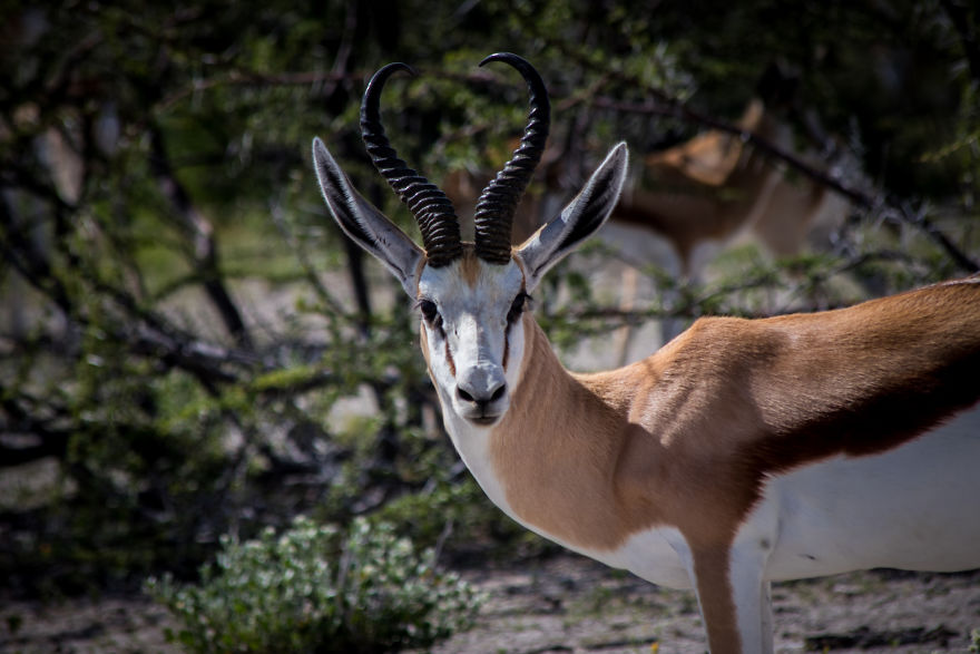 We Went To Namibia To Explore Its Most Amazing Places, And This Is What We Found We Went To Namibia To Explore Its Most Amazing Places, And This Is What We Found