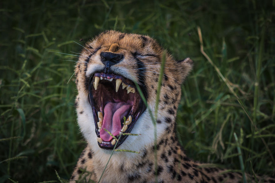 We Went To Namibia To Explore Its Most Amazing Places, And This Is What We Found We Went To Namibia To Explore Its Most Amazing Places, And This Is What We Found