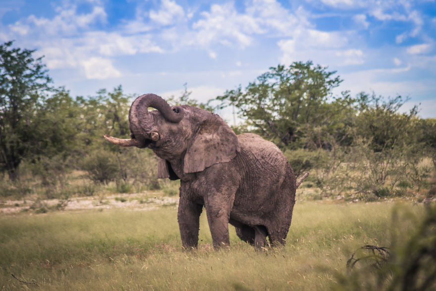 We Went To Namibia To Explore Its Most Amazing Places, And This Is What We Found We Went To Namibia To Explore Its Most Amazing Places, And This Is What We Found