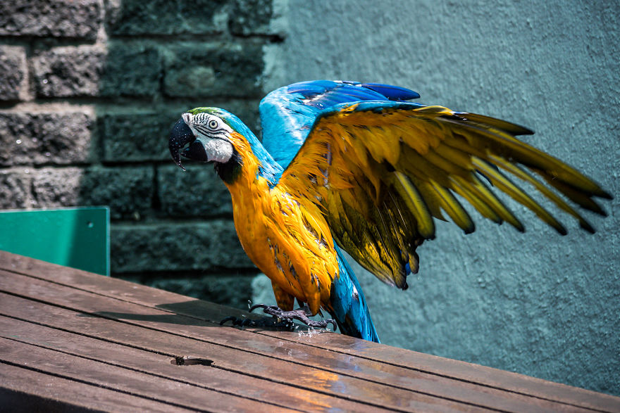 We Went To Namibia To Explore Its Most Amazing Places, And This Is What We Found We Went To Namibia To Explore Its Most Amazing Places, And This Is What We Found