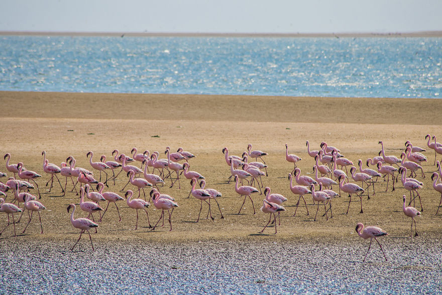 We Went To Namibia To Explore Its Most Amazing Places, And This Is What We Found We Went To Namibia To Explore Its Most Amazing Places, And This Is What We Found