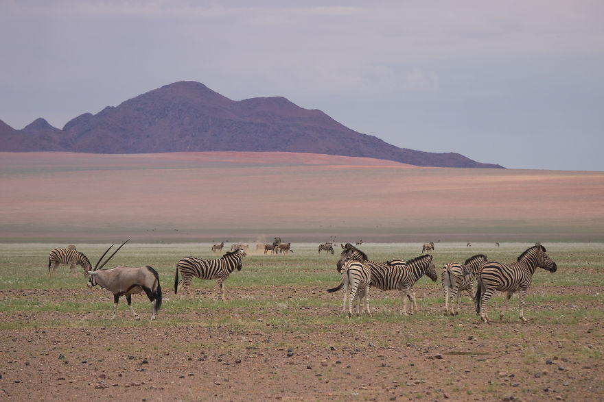 We Went To Namibia To Explore Its Most Amazing Places, And This Is What We Found We Went To Namibia To Explore Its Most Amazing Places, And This Is What We Found